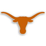 Texas Longhorns Magnet Car Style 12 Inch Logo Design-0