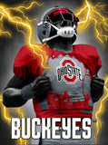 Ohio State Buckeyes 3D Art Print 12x16 Super Player-0