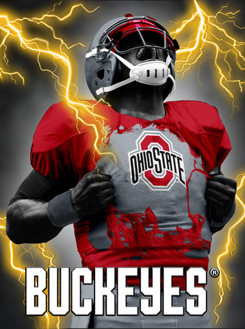 Ohio State Buckeyes 3D Art Print 12x16 Super Player-0