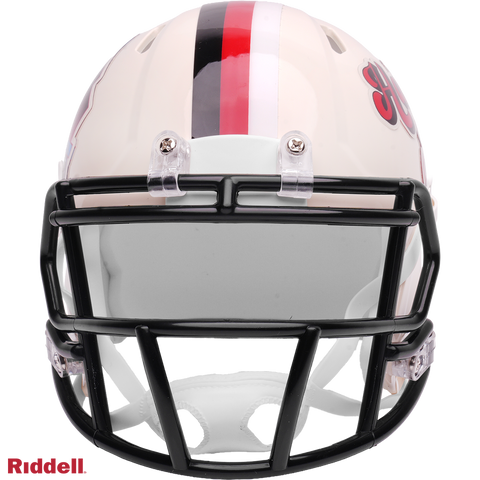 NFL Hall of Fame Helmet Riddell Replica Mini Speed Style Retro Collect ...