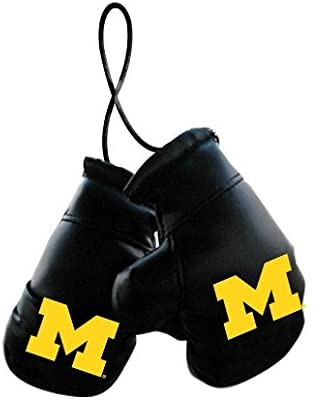 Michigan Wolverines Boxing Gloves Mini - Team Fan Cave