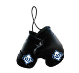 Tampa Bay Rays Boxing Gloves Mini - Special Order - Team Fan Cave