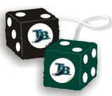 Tampa Bay Rays Fuzzy Dice - Special Order - Team Fan Cave