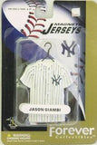 New York Yankees Jason Giambi Jersey Magnet - Team Fan Cave